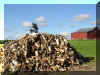 firewood2.jpg (263678 bytes)